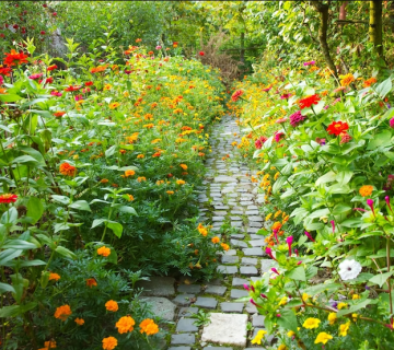 نوع گیاهان در شهرکهای ویلایی